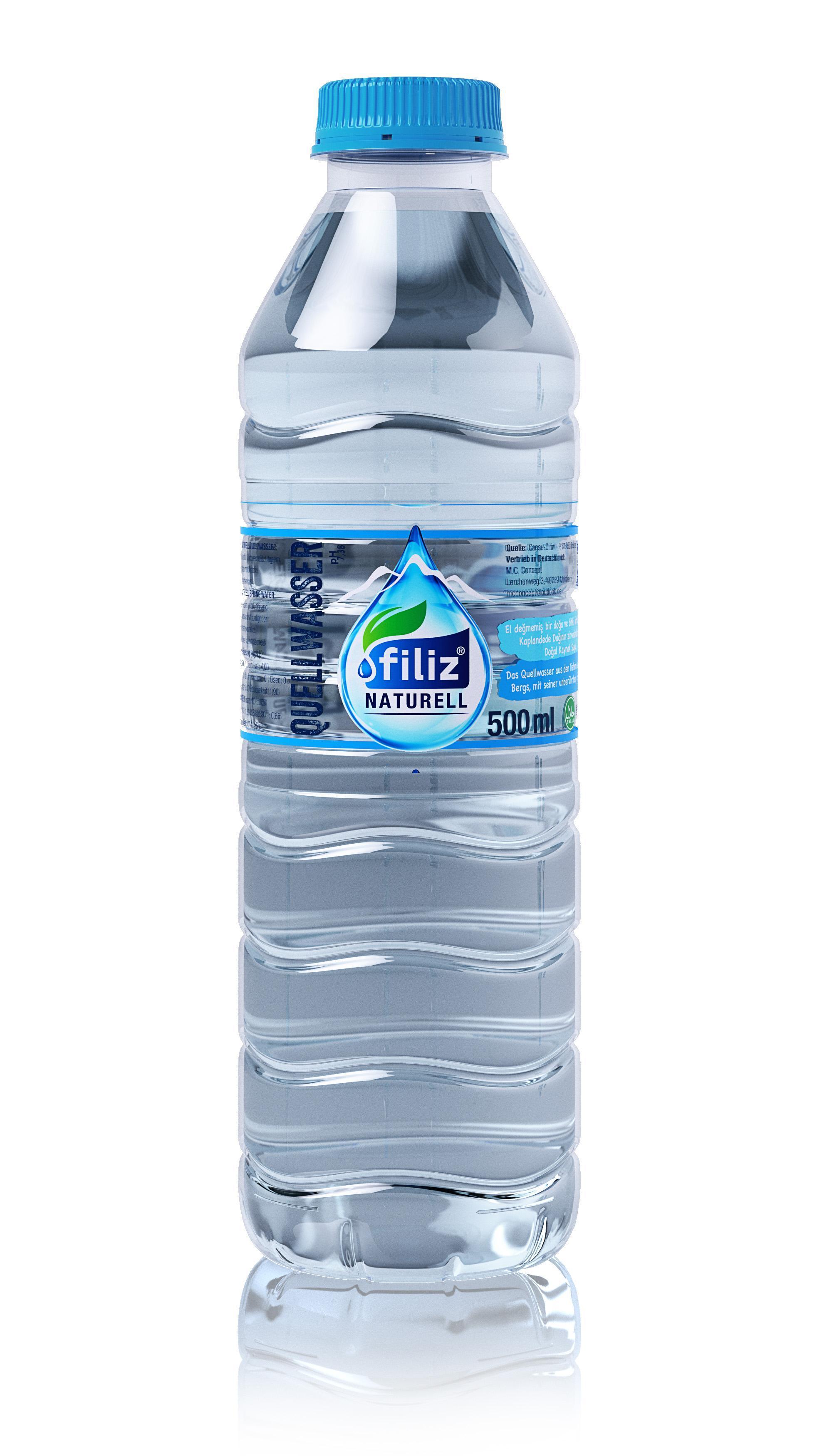 Filiz Naturell Quellwasser - 24 x 0,5l Flasche